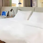 راديسون بلو 4*